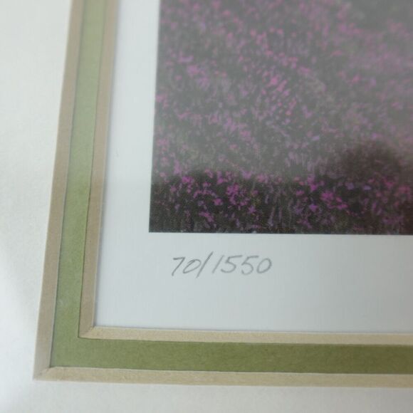 Steven Lavaggi Wondrous World Limited Edition Lithograph Hand Signed - Picture 3 of 8